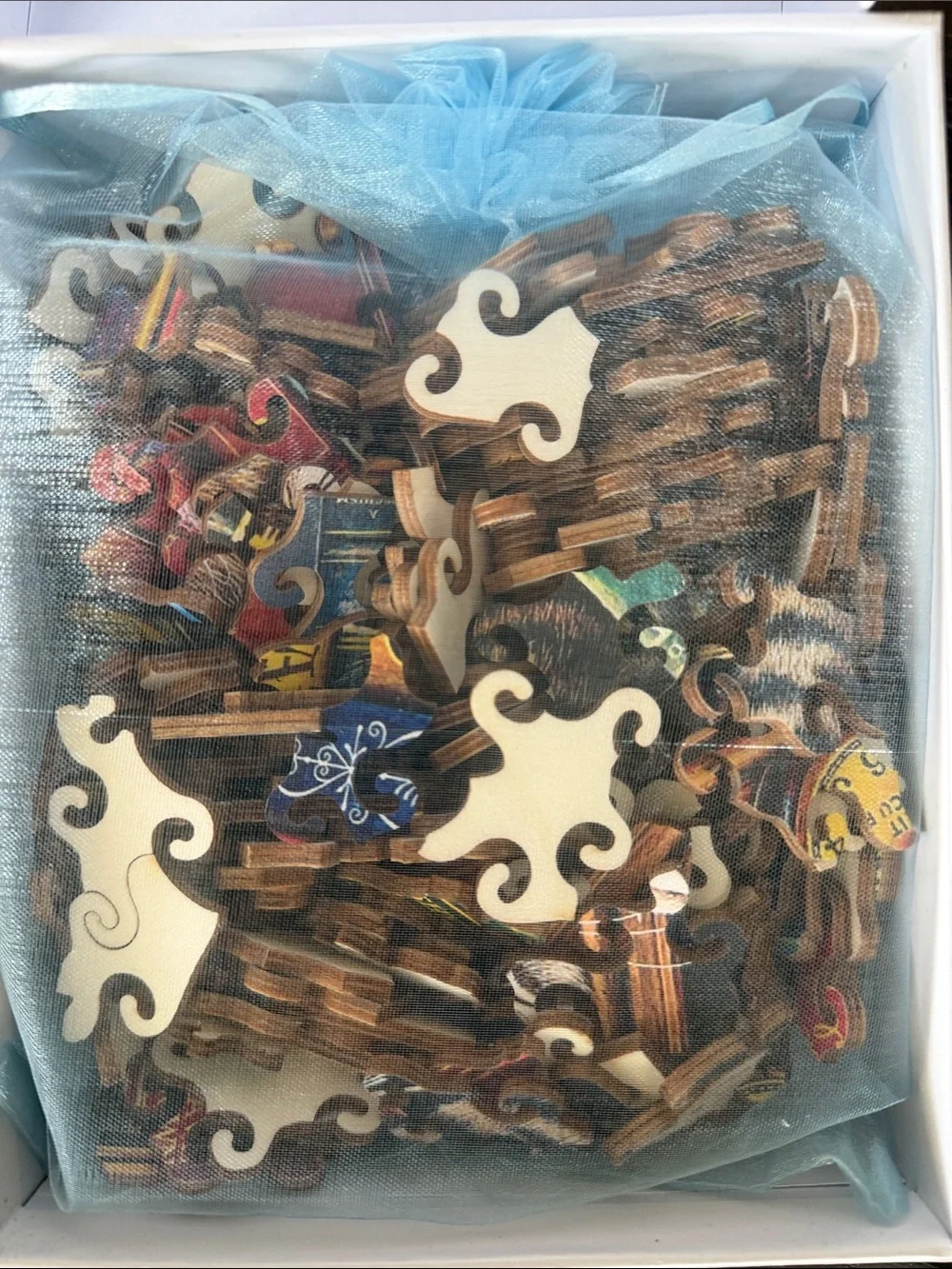 Wooden Puzzle Cat on Bookshelf